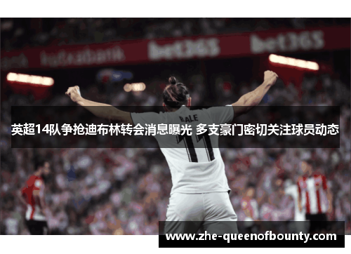 英超14队争抢迪布林转会消息曝光 多支豪门密切关注球员动态