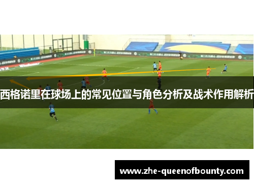 西格诺里在球场上的常见位置与角色分析及战术作用解析